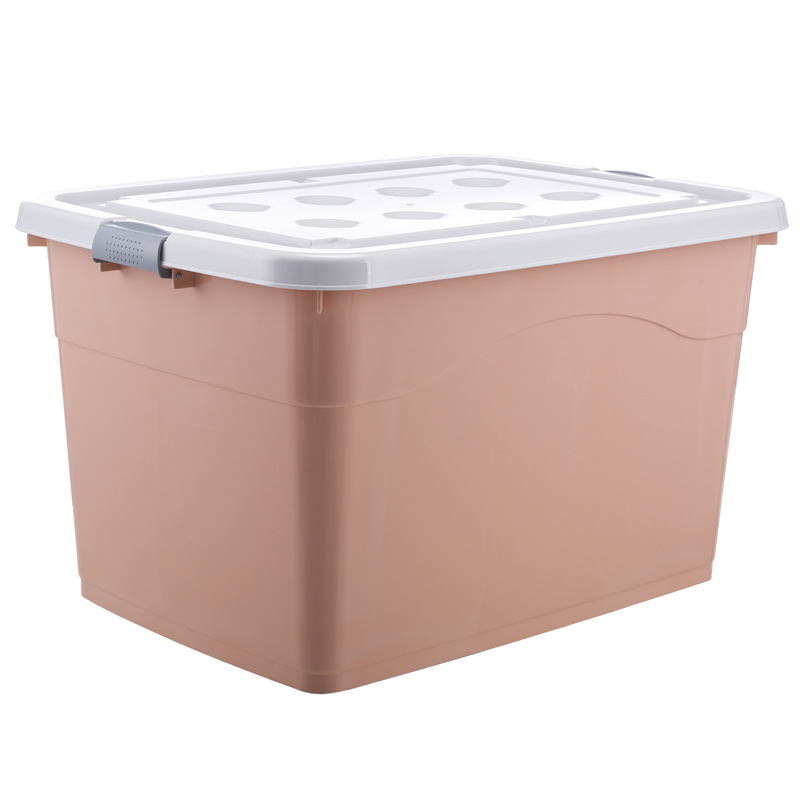 Organizzatore domestico